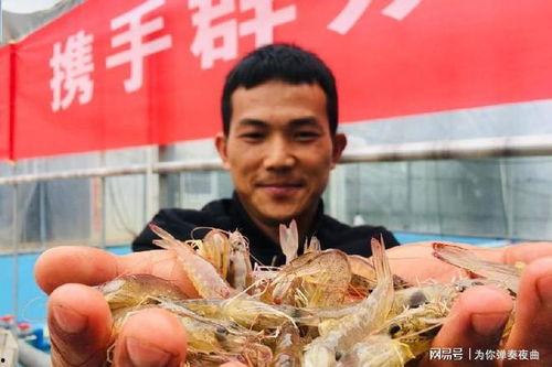新疆海鲜的真实爆料视频,新鲜美味背后的故事  第3张 新疆海鲜的真实爆料视频,新鲜美味背后的故事  第3张