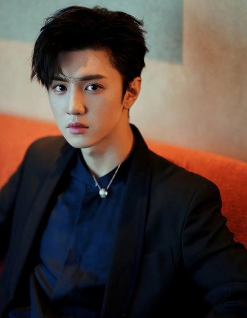 陈哲远爆料沈月了吗视频,视频曝光背后真相  第3张 陈哲远爆料沈月了吗视频,视频曝光背后真相  第3张