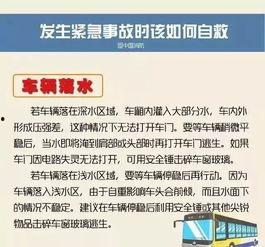 阳江今日爆料最新消息查询,揭秘今日热点事件真相  第2张 阳江今日爆料最新消息查询,揭秘今日热点事件真相  第2张