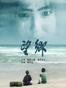 台剧望乡在线观看,穿越时空的寻根之旅  第2张