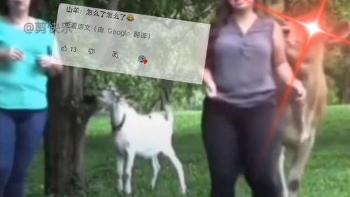 搞笑爆料网友视频大全,笑料百出!网友搞笑爆料视频大盘点  第3张 搞笑爆料网友视频大全,笑料百出!网友搞笑爆料视频大盘点  第3张