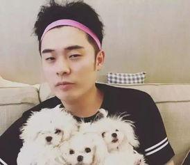 金晨爆料陈赫视频合集  第3张 金晨爆料陈赫视频合集  第3张