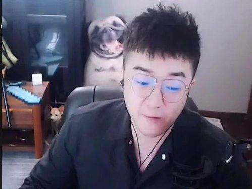 老歪爆料直播间最新视频,老歪最新视频内容大曝光!  第2张 老歪爆料直播间最新视频,老歪最新视频内容大曝光!  第2张