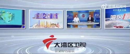 大湾区卫视爆料新闻,重大新闻事件深度解析  第3张 大湾区卫视爆料新闻,重大新闻事件深度解析  第3张