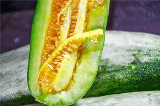 西安吃瓜网红是谁啊,揭秘西安网红“吃瓜达人”之谜  第3张 西安吃瓜网红是谁啊,揭秘西安网红“吃瓜达人”之谜  第3张