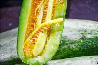 吃瓜原创网红,揭秘吃瓜原创网红的爆红之路  第2张 吃瓜原创网红,揭秘吃瓜原创网红的爆红之路  第2张