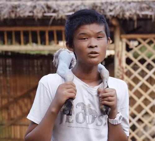 小马云直播爆料最新消息,最新动态及幕后故事大曝光!”