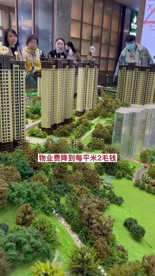 成都房地产天涯爆料视频,天涯爆料视频深度解析  第3张 成都房地产天涯爆料视频,天涯爆料视频深度解析  第3张