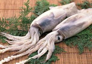 鱿鱼最新爆料视频在线观看,揭秘最新爆料视频,剧情反转引热议