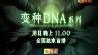 dna 在线观看,在线观看揭示生命密码之旅  第2张 dna 在线观看,在线观看揭示生命密码之旅  第2张