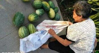 武安吃瓜爆料最新,揭秘娱乐圈最新热点事件  第2张 武安吃瓜爆料最新,揭秘娱乐圈最新热点事件  第2张