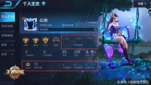 王者宋文爆料视频下载免费,揭秘游戏幕后精彩瞬间  第2张 王者宋文爆料视频下载免费,揭秘游戏幕后精彩瞬间  第2张