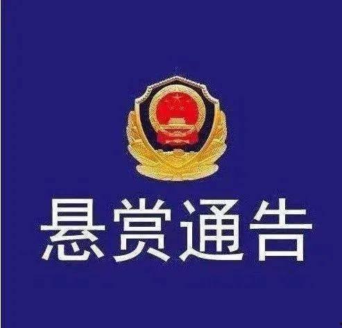 广东梅州爆料案件最新,案情曲折,真相渐明