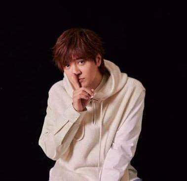 南宁罗志祥爆料新闻事件,娱乐圈风波再起,真相扑朔迷离  第2张 南宁罗志祥爆料新闻事件,娱乐圈风波再起,真相扑朔迷离  第2张