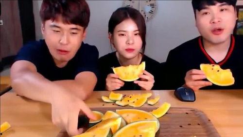 免费吃瓜网课兄妹,揭秘网络教育界的甜蜜互动  第3张 免费吃瓜网课兄妹,揭秘网络教育界的甜蜜互动  第3张