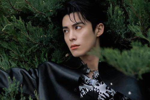 娱乐爆料王鹤棣的恋情,甜蜜互动引粉丝热议  第2张 娱乐爆料王鹤棣的恋情,甜蜜互动引粉丝热议  第2张