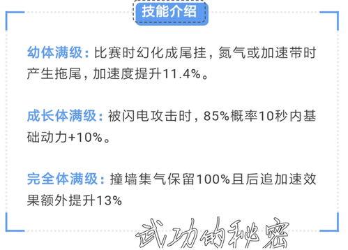 飞车宠物最新爆料在哪看,揭秘神秘新功能,独家观看攻略揭晓!