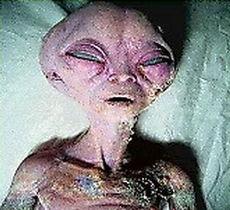 日本高僧爆料外星人视频,日本高僧亲证外星人视频曝光  第3张 日本高僧爆料外星人视频,日本高僧亲证外星人视频曝光  第3张