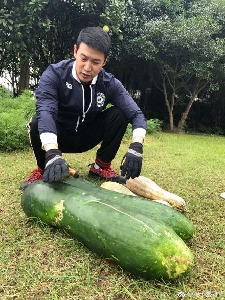 最新爆料吃瓜,神秘事件真相大揭秘!  第3张 最新爆料吃瓜,神秘事件真相大揭秘!  第3张