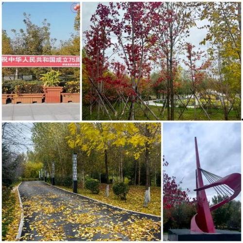 桦南县澜亭水汇最新爆料,揭秘神秘项目背后的真相!”  第3张 桦南县澜亭水汇最新爆料,揭秘神秘项目背后的真相!”  第3张