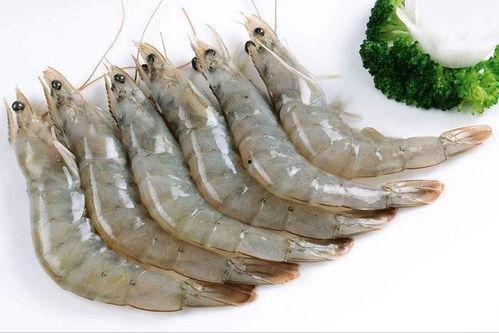 厄瓜多尔大虾爆料视频播放,揭秘养殖过程与市场真相  第3张 厄瓜多尔大虾爆料视频播放,揭秘养殖过程与市场真相  第3张