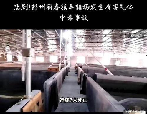 彭州网友爆料新闻事件,惊现神秘事件,真相令人震惊!  第2张 彭州网友爆料新闻事件,惊现神秘事件,真相令人震惊!  第2张