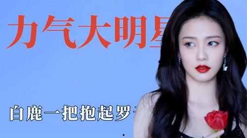 明星白鹿爆料视频大全下载,揭秘明星幕后故事  第3张 明星白鹿爆料视频大全下载,揭秘明星幕后故事  第3张