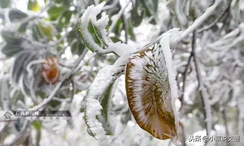 银枝最新爆料,揭秘娱乐圈背后的惊人真相  第3张 银枝最新爆料,揭秘娱乐圈背后的惊人真相  第3张