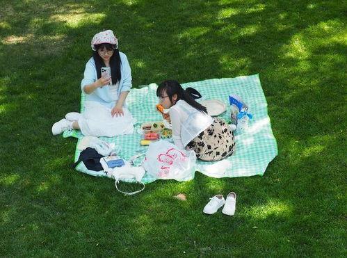 树荫在线观看,在线观看的视觉盛宴  第2张 树荫在线观看,在线观看的视觉盛宴  第2张