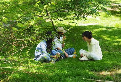 树荫在线观看,在线观看的视觉盛宴  第3张 树荫在线观看,在线观看的视觉盛宴  第3张
