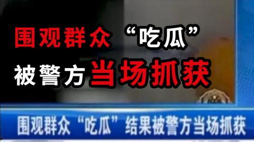 乐清吃瓜最新事件爆料新闻,最新爆料揭示惊人内幕  第3张 乐清吃瓜最新事件爆料新闻,最新爆料揭示惊人内幕  第3张