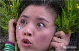 蛋娃姑姑维姐爆料视频,揭秘背后惊人真相  第3张 蛋娃姑姑维姐爆料视频,揭秘背后惊人真相  第3张