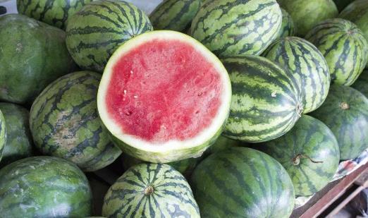 江西网红吃瓜视频播放,揭秘网络红人的幕后故事  第2张 江西网红吃瓜视频播放,揭秘网络红人的幕后故事  第2张