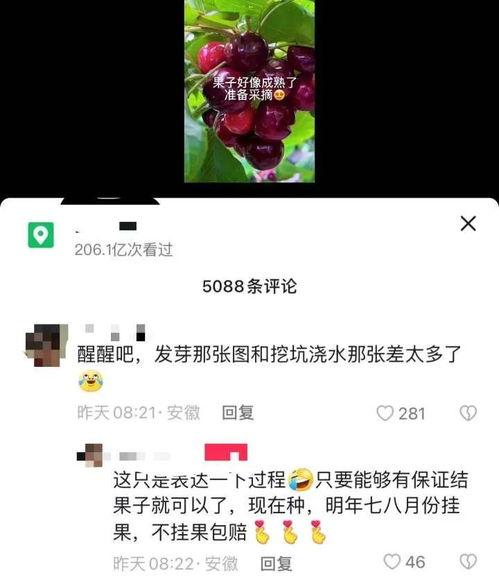 视频结尾有爆料点怎么弄,结尾惊爆点,揭秘幕后真相!  第2张 视频结尾有爆料点怎么弄,结尾惊爆点,揭秘幕后真相!  第2张