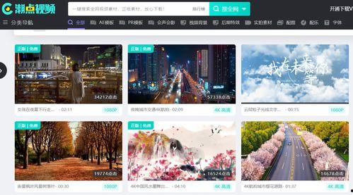 爆料类型的视频素材,视频素材背后的惊人真相  第3张 爆料类型的视频素材,视频素材背后的惊人真相  第3张