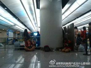 昆明飞机场爆料最新消息  第3张 昆明飞机场爆料最新消息  第3张