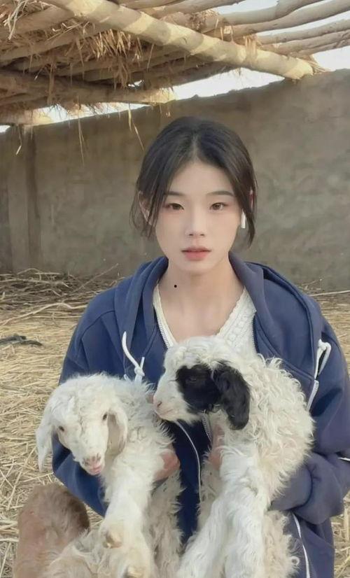 张铭发爆料灰太狼的视频,视频爆料背后的惊人内幕  第3张 张铭发爆料灰太狼的视频,视频爆料背后的惊人内幕  第3张