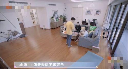 大连学校爆料事件视频,真相与争议交织的校园风云  第3张 大连学校爆料事件视频,真相与争议交织的校园风云  第3张