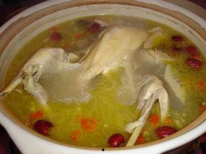 爆料母鸡汤视频大全,温馨感人,治愈心灵的故事集锦