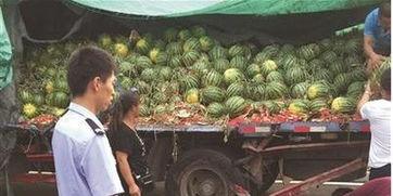 甘谷网红吃瓜事件真相揭秘,揭秘背后真相与争议  第3张 甘谷网红吃瓜事件真相揭秘,揭秘背后真相与争议  第3张