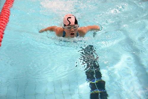 游泳在线观看  第3张 游泳在线观看  第3张